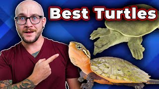 The BEST Pet Turtles You Probably Never Thought About!
