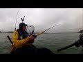 Kayak Fishing - COD, MACKEREL, SQUID, HERRING, WHITING, BULL HUSS - Multi Species Fishing