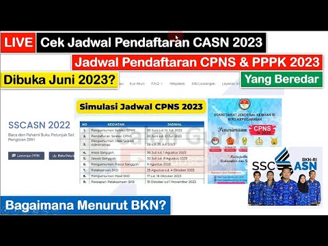 Penjelasan BKN tentang Jadwal Pendaftaran CPNS dan PPPK 2023 | Pendaftaran CPNS 2023 Kapan Dibuka?