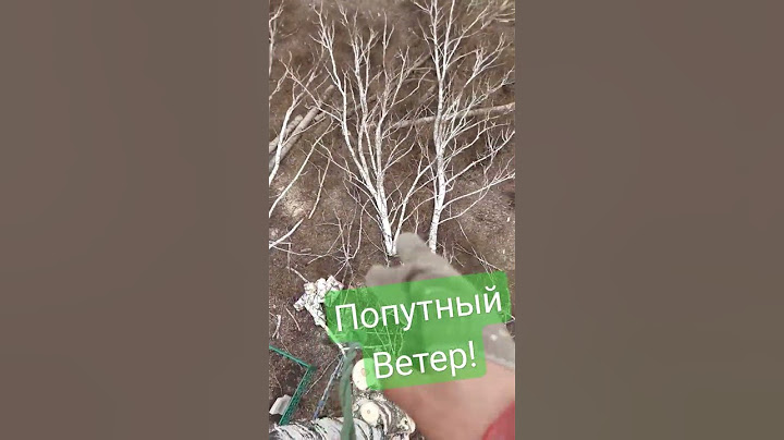 Иногда #ветер может #помогать задувая большие куски #дерева за ограды!