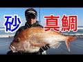宮崎サーフの怪魚 オオニベを狙え！#2