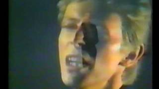 Bowie Heroes Album Advert 1977