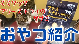 【おやつ紹介】ママクック　フリーズドライのササミ！Introduction of cat snacks#保護 #猫 #cat #野良猫