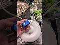 Датчик CO2. Чи є він нього користь в побутовому використанні? #growbox #growing