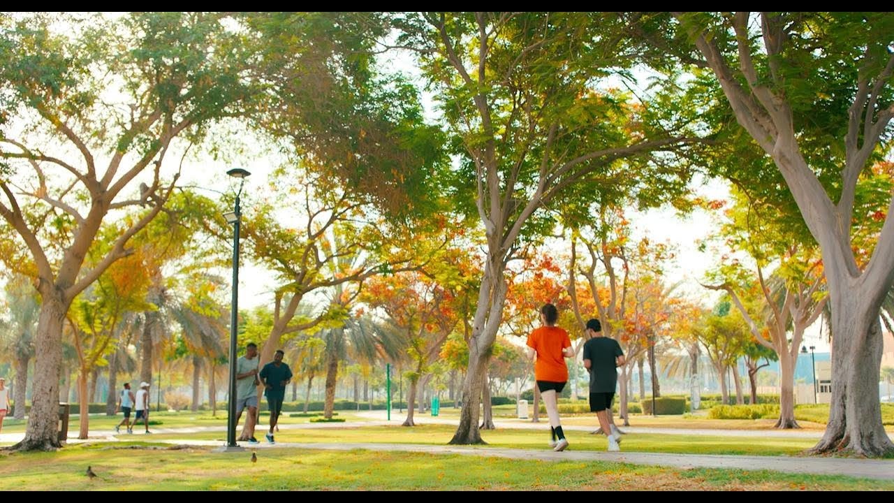 TrueCoverage | Digital - Wake Up Call | Elite Films Productions