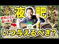 【園芸の基本】液肥を与える頻度はどのぐらいが良いの？季節で施肥頻度を変える！製品毎のベストな肥料やりの頻度をご紹介！〜ハイポネックス元研究員枝元政樹が徹底解説！～【園芸塾】【ハイポネックス】