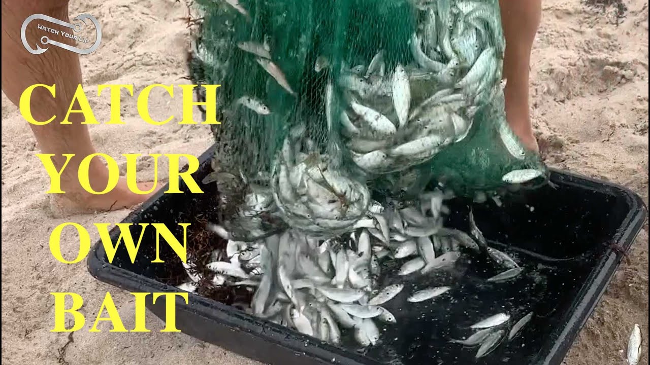 HOW TO CAST A 6 FOOT CAST NET - CATCHING YOUR OWN BAIT ON THE BEACH (FF  Episode 19, season 1) 