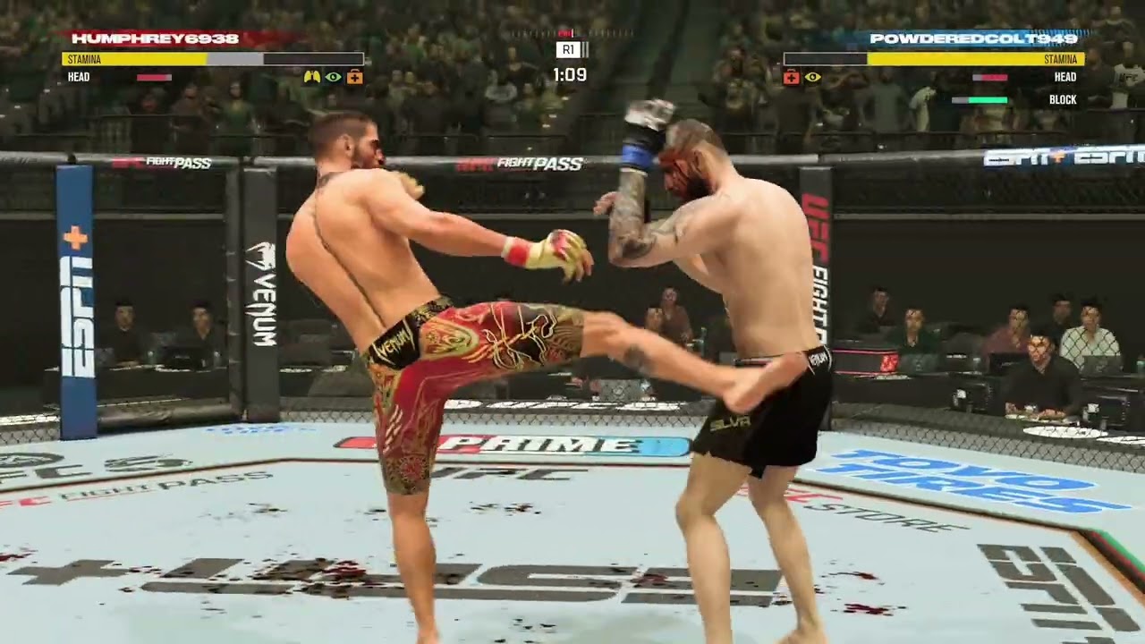 UFC 5 | do y’all think this would be a good one IRL? 