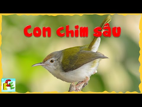 Video Thơ cho bé mầm non bài thơ chim sâu nhỏ Đọc thơ hay... - youtube