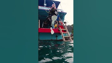 PADI IDC Confined and Open Water Presentation: CESA | #shorts #scubadiving