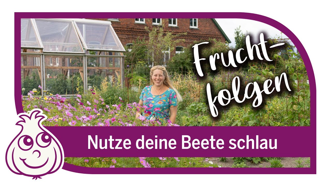 Ich stand im Garten und wollte die freien Beete einfach nur eine Weile in Ruhe lassen. Da sagte mein Mann: „Wir pflanzen da jetzt Erdbeeren hin, direkt in den Knoblauchboden.“ Und dann fiel mir...