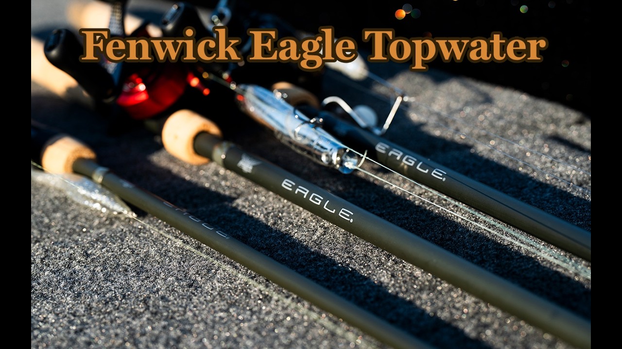 Designed for Topwater Bass | Fenwick Eagle 7'5" Heavy with Caz Anderson