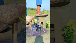 Cucumber 🥒 crazy creative videography ideas 💡 #creative #videography #ideas #shortsvideo 👀📷🙏