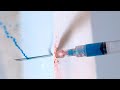 How a Tranquilizer Dart Works in Slow Motion - The Slow Mo Guys
