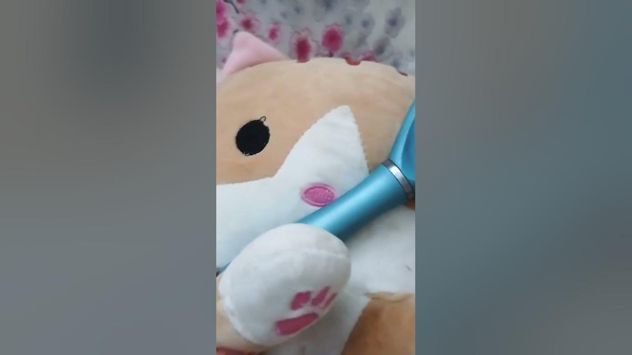 кот ьуь - YouTube