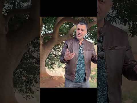 Cheb Wahid Zin Zin 2025 شاب وحيد الزين مرض قلبي 