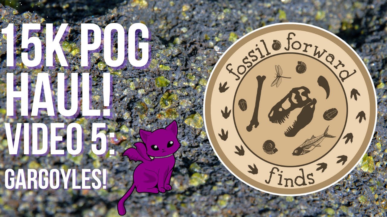 Pog Animation Gargoyle The Animated Series POGs Deep Dive! -15K POG Haul - YouTube