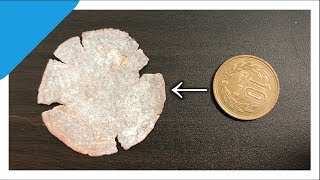 ハンマーでひたすら10えん玉を叩き続けた結果！