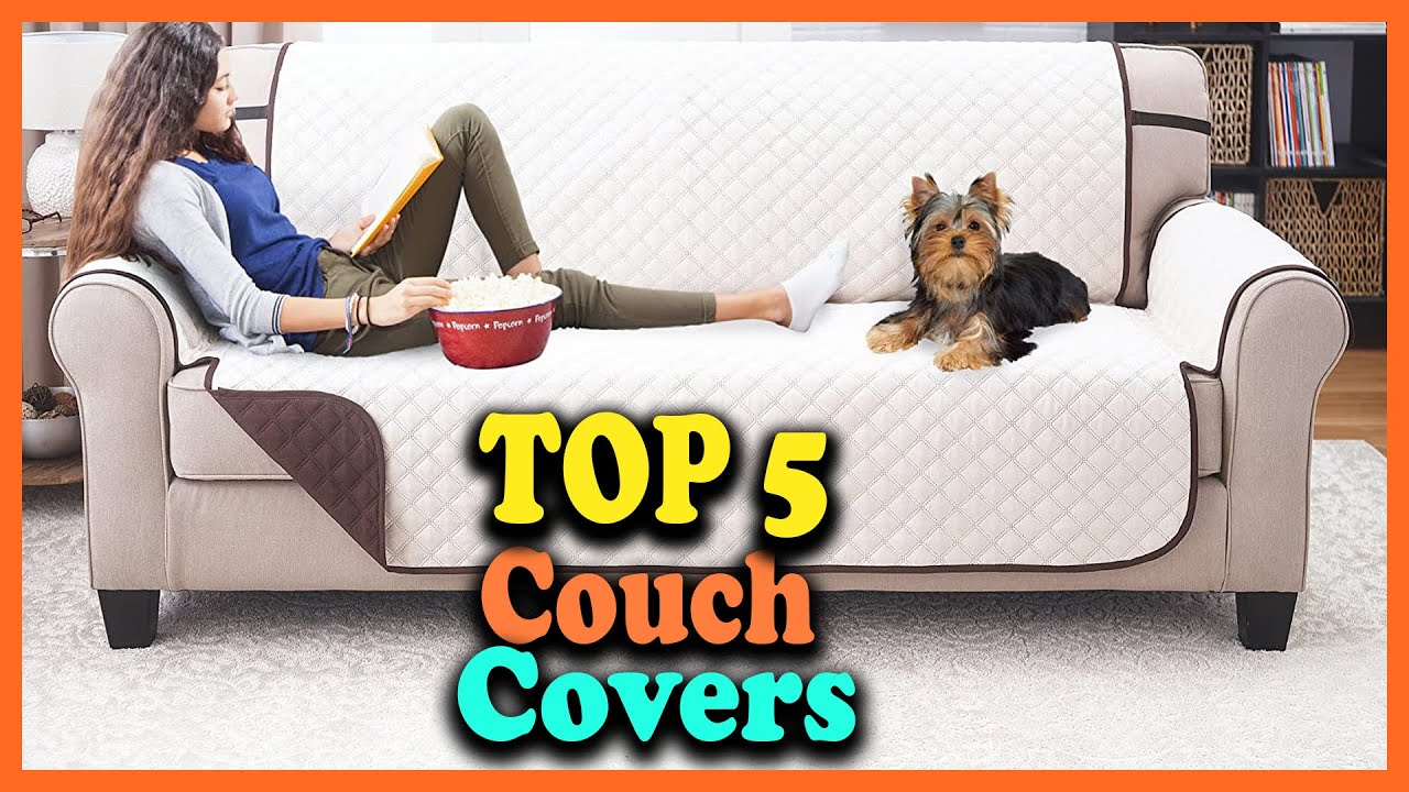 Top 5 Best Dog Couch Covers Reviews 2022 YouTube