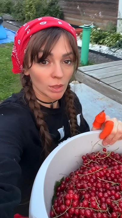 #дача - YouTube