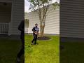 DeWalt 12 inch electric chainsaw cuts through crape myrtle limb #yardtools #dewalt #lawncare #fyp