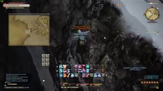 FFXIV Fall Damage Bug