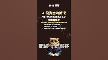 肥貓鑑客 EP33｜OpenAI與Nvidia為核心的金流循環 #openai #nvidia  #輝達 #市值 #歷史 #馬斯克 #風險 #投資 #知識 #AI #xAI  #AMD  #肥貓鑑客