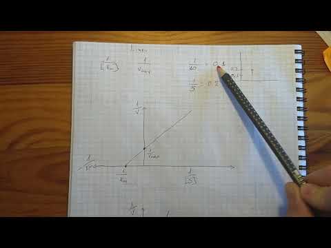 Разбираем Michaelis-Menten and Lineweaver-Burk plots.