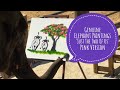 Elephants Painting: Genuine elephant Paintings