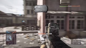 Battlefield 4 - DICE Dev & DICE Friend Dog Tags