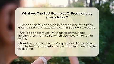 What Are The Best Examples Of Predator-prey Co-evolution? - Ecosystem Essentials