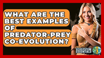 What Are The Best Examples Of Predator-prey Co-evolution? - Ecosystem Essentials