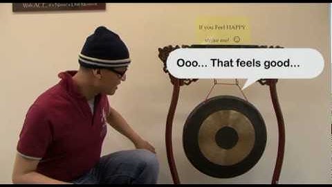 Creating Flash Buttons.mp4