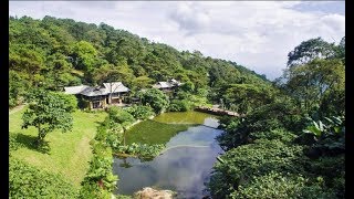 Meliá Ba Vi Mountain Retreat. The hidden gem nestled in the ‘lord of mountains’ | Vietnam
