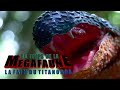 Au temps de la megafaune  la faim du titanoboa  documentaire