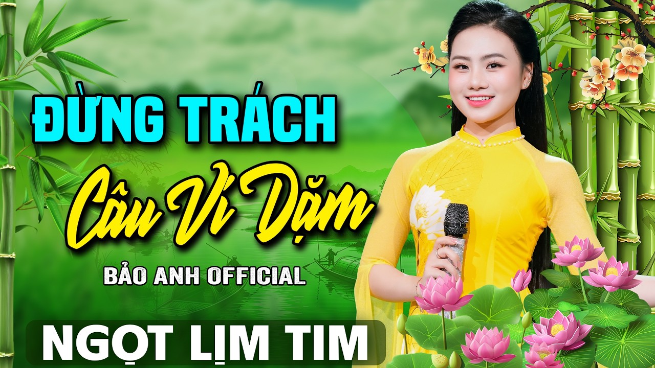 Đừng Trách Câu Ví Dặm - Bảo Anh Offical 🎵LK Dân Ca Xứ Nghệ Hay Nhất | Mở Nghe Triệu Người Mê