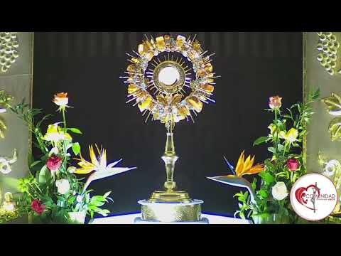 Hora santa Maria Madre del Amor Hermoso jueves 6 febrero 2020