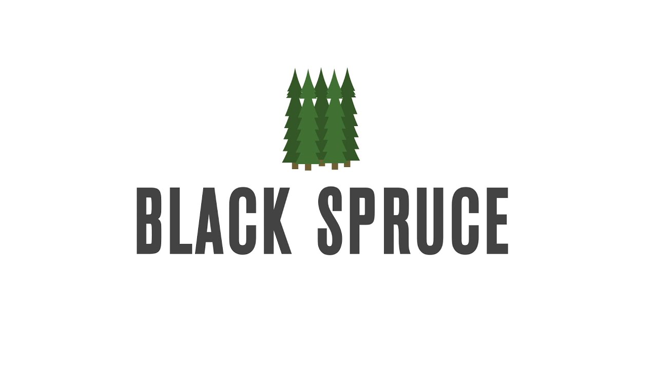 Black Spruce Production