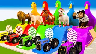 Paint Animals Cow,Lion,Monkey,Goat,Dog Guess Tractor Wild Animals Transfiguration Fountain Crossing