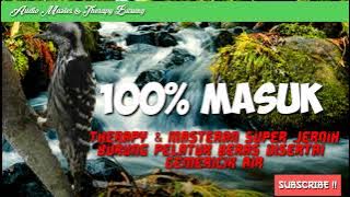 Burung Pelatuk Beras Disertai Gemericik Air untuk Masteran atau Therapy Stres Burung