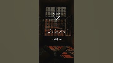 تلاوه خاشعه ♥️ #قران_كريم #اكسبلور #quran #المصحف #قرآن #تلاوه