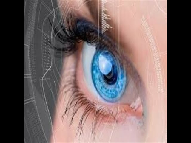 Best Supplements For Eye Vision