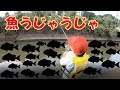魚だらけの川にカニを落としたら・・【衝撃】