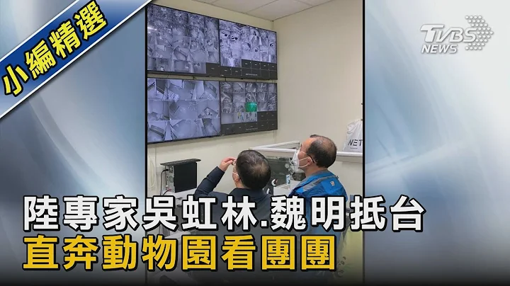 陆专家吴虹林.魏明抵台 直奔动物园看团团｜TVBS新闻 - 天天要闻