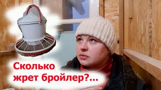 СКОЛЬКО ЖРЕТ БРОЙЛЕР?