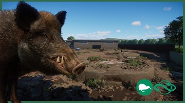 🐗 Wild Boar habitat | willow creek city zoo | Ep. 12 | speed build | planet zoo