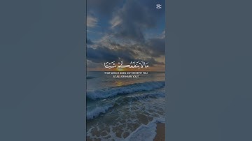 قرآن كريم #ارح_قلبك #قران_كريم #تيك_توك #قيام_الليل #قرآن #صلاة #تلاوة_خاشعة #تنسيق_الجامعات