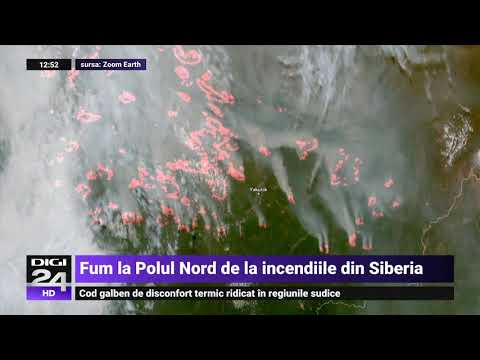 Video: Cum Să Opriți Incendiile Forestiere Din Siberia