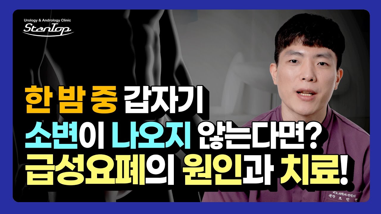 (ENG CC) 소변이 나오지 않는다고?! 급성요폐의 원인과 증상와 치료 Causes, Symptoms, and Treatment of Acute Urinary Retention