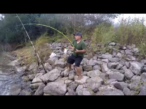Bank fishing for catfish Clearance